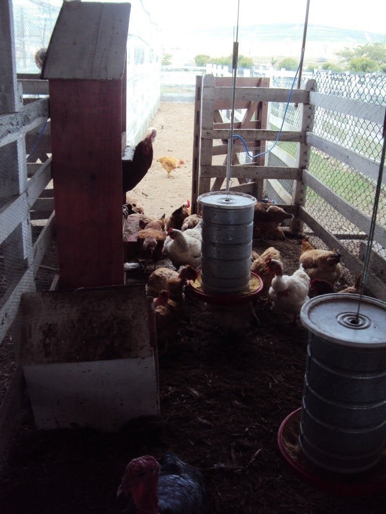 Flat Canarius Gravatá (35)