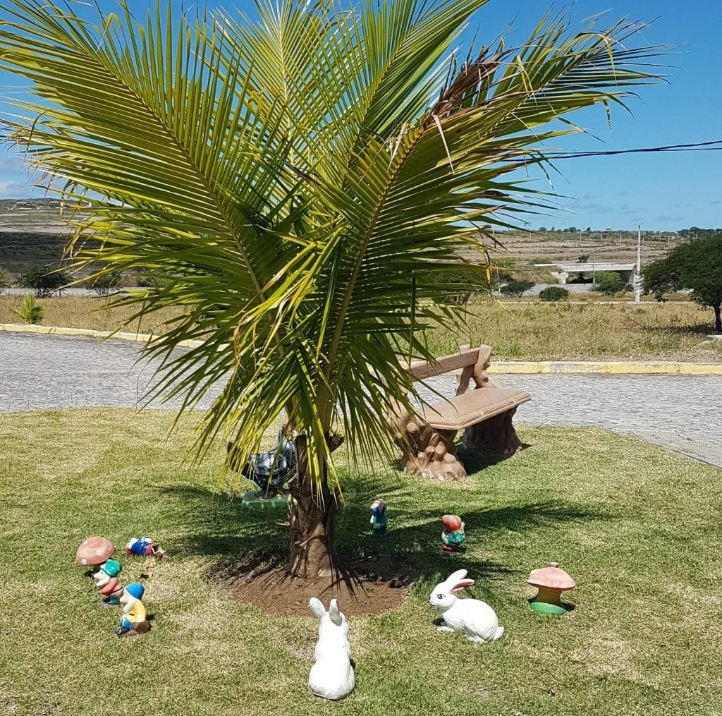 Flat Canarius Gravatá (5)