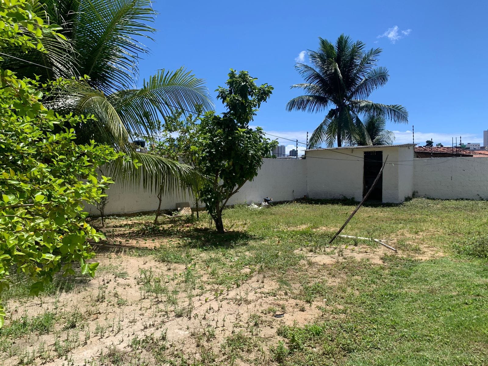 Apipucos – Tania Macedo (1)