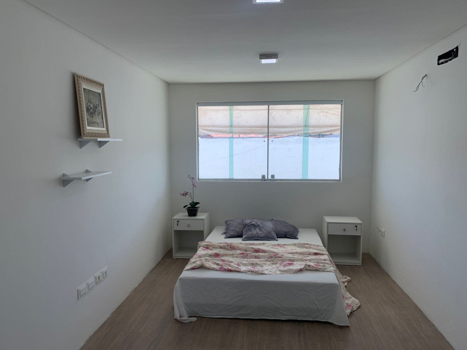 Apipucos – Tania Macedo (2)