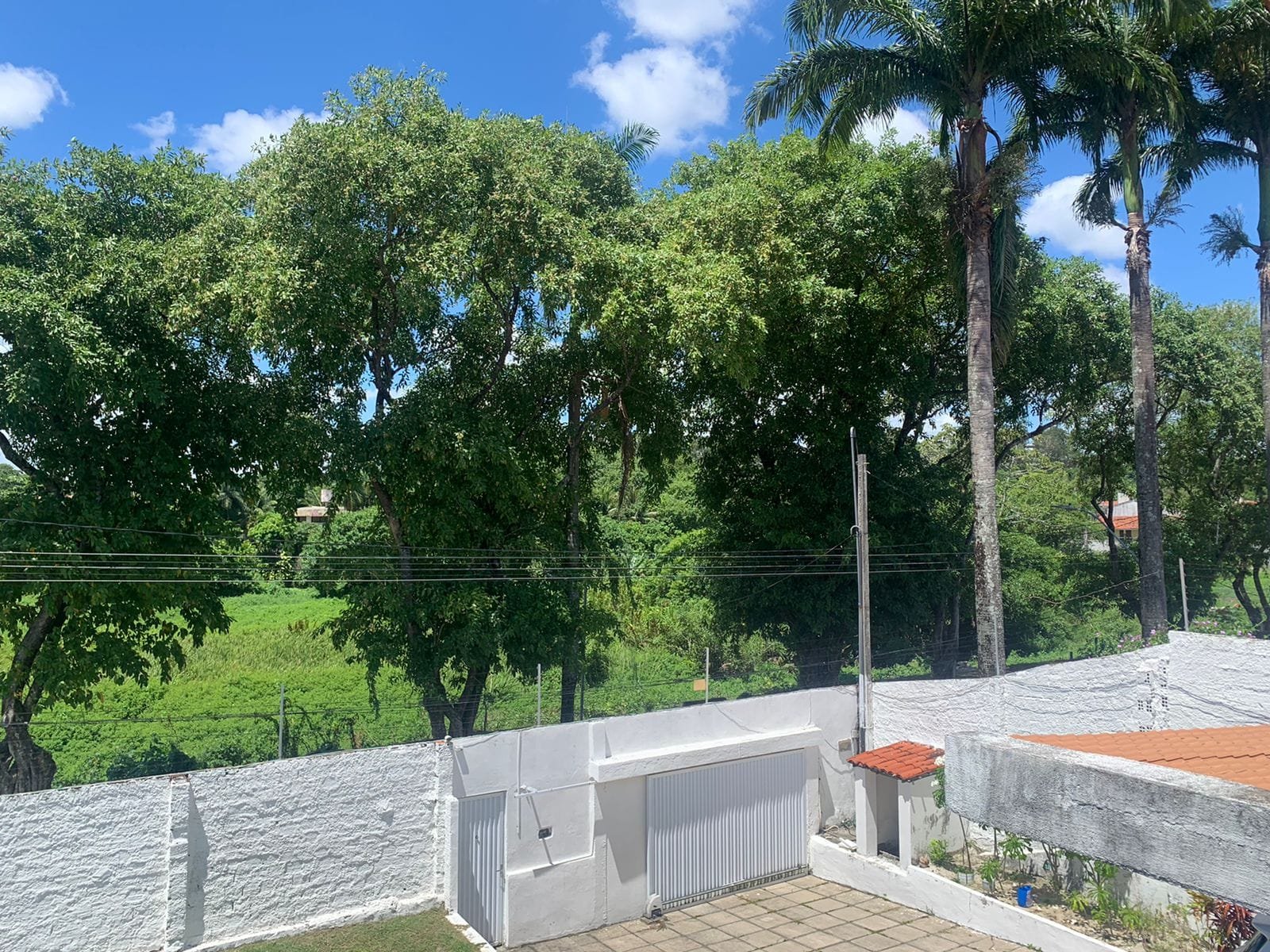 Apipucos – Tania Macedo (20)