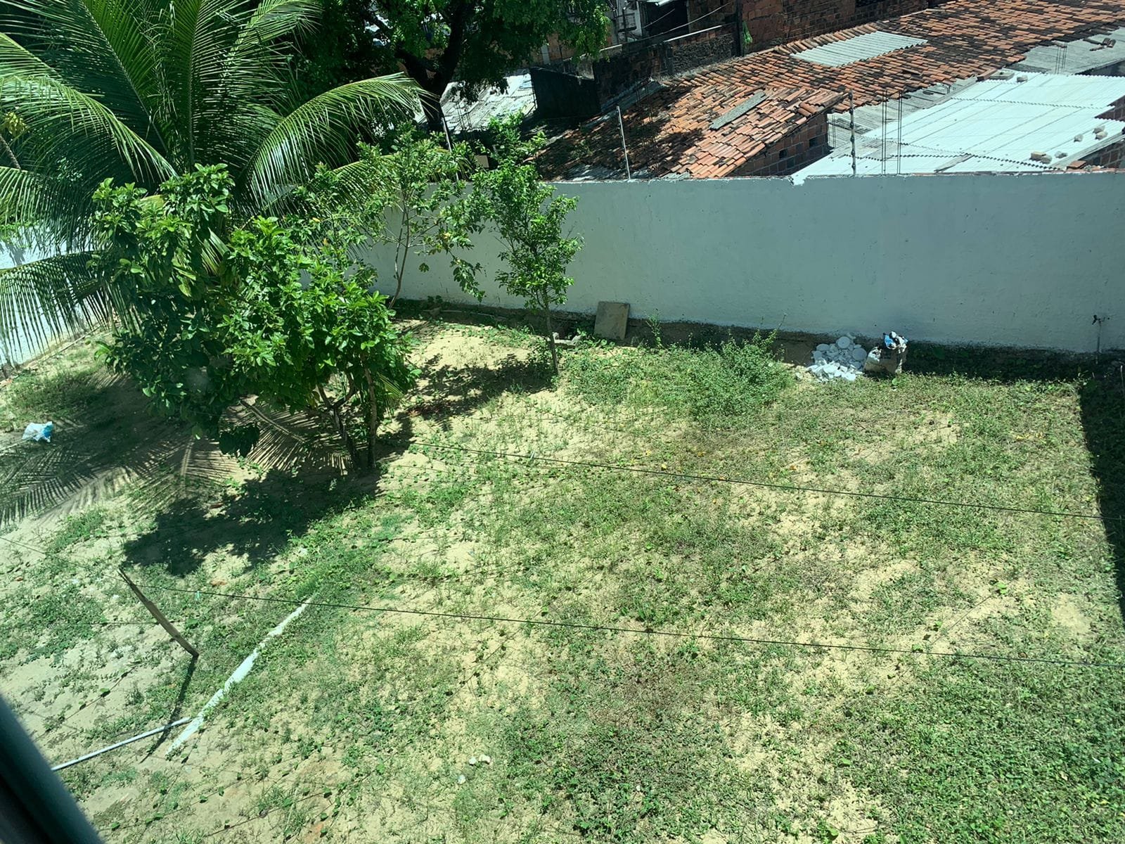 Apipucos – Tania Macedo (9)