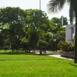 Desenvolvimento Urbano Sustentável e Criativo: Transformando o Recife em um Oásis Urbano