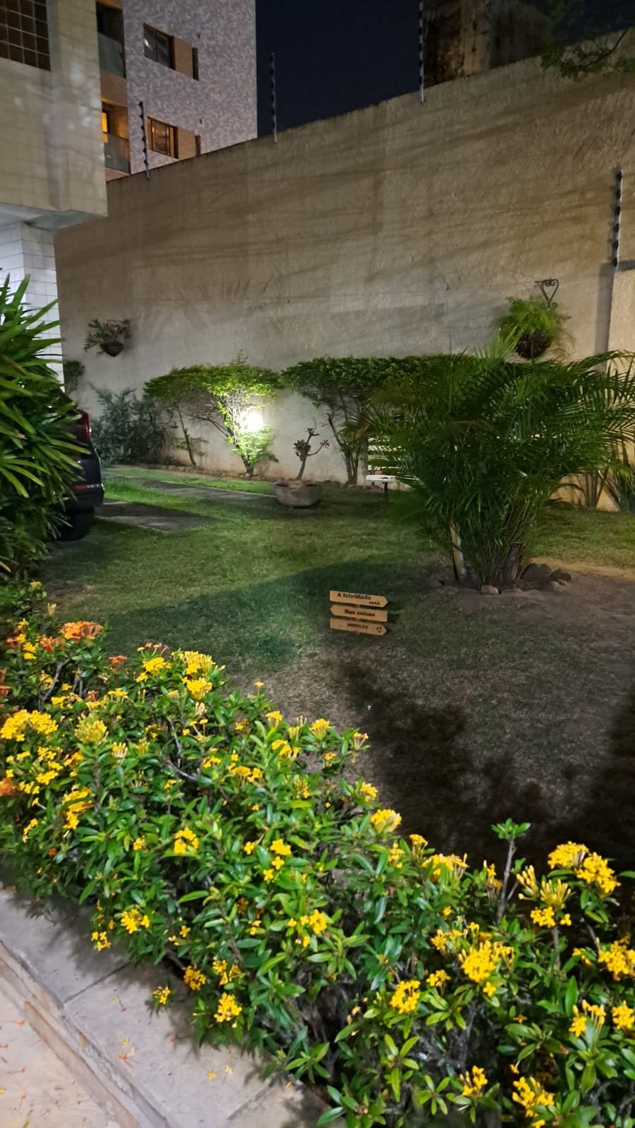 AnnaBeatrizJardim (3)