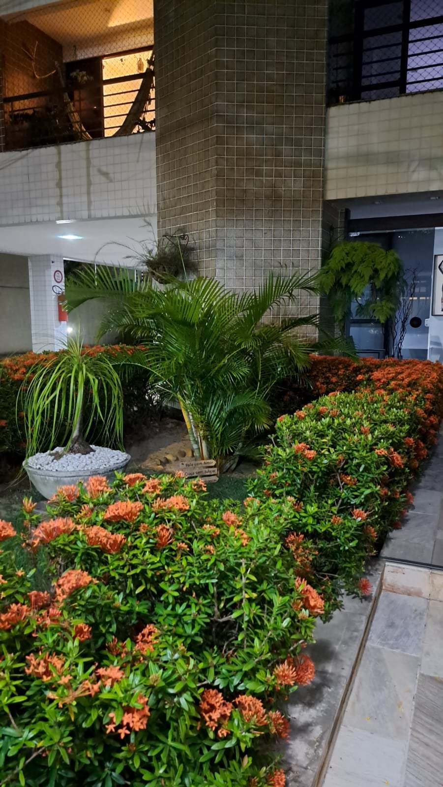 AnnaBeatrizJardim (4)